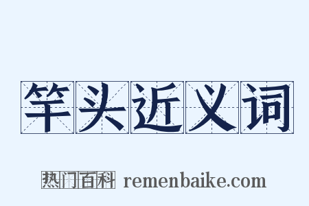 竿头近义词是什么意思的图片